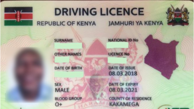 smart driving licence