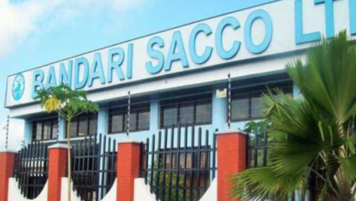 bandari sacco