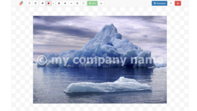 online watermark removers